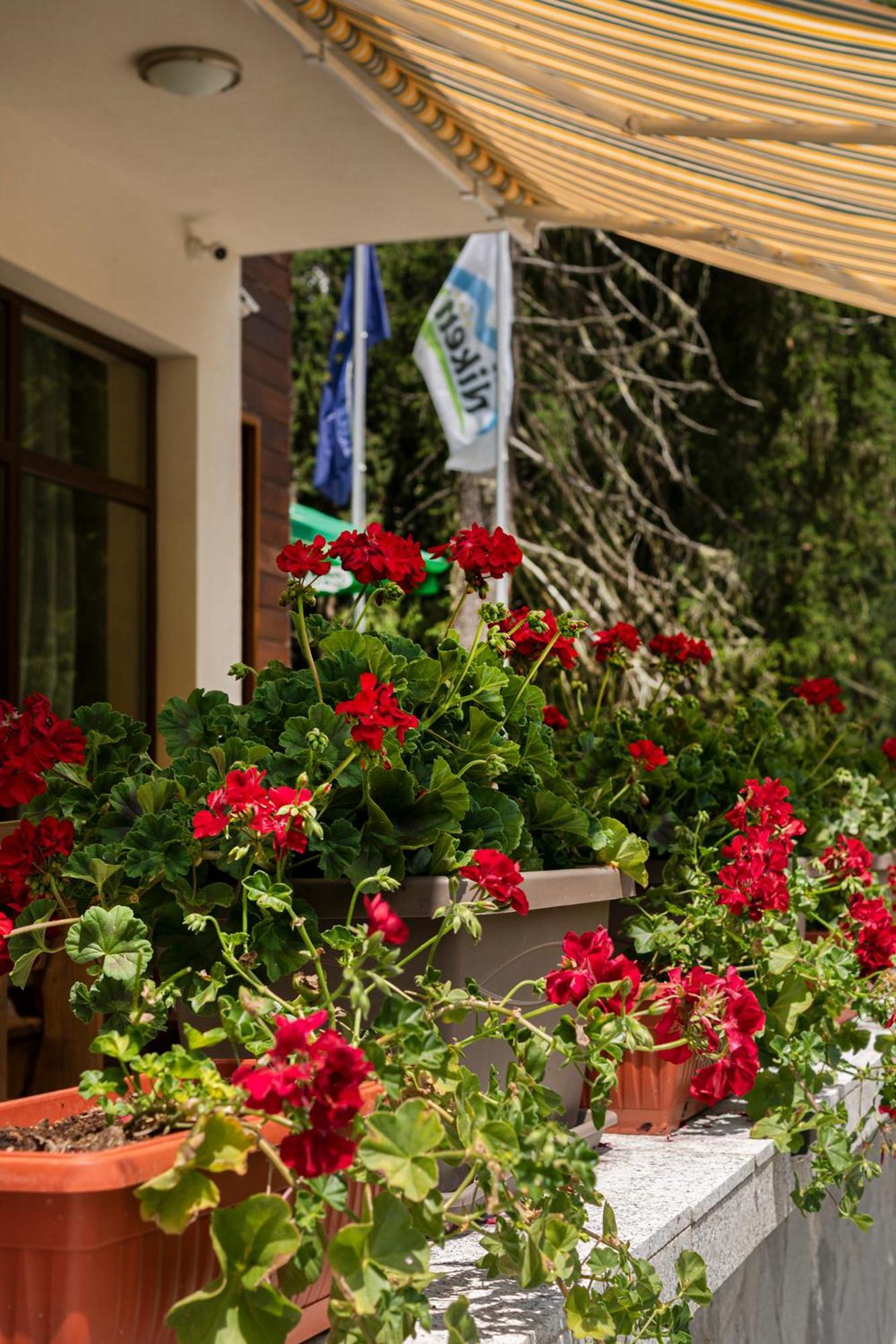 Hotel Niken Pamporovo Dış mekan fotoğraf